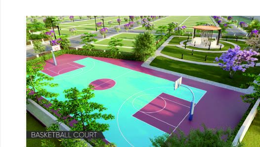 Basketball court
