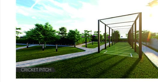 Cricket practice pitch