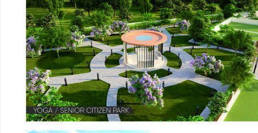 Yoga and senior citizen park